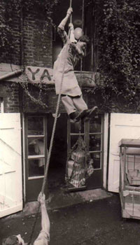 Health food shop pulley rope hoist