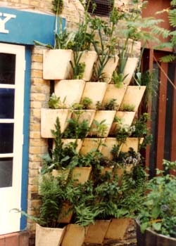 vertical garden